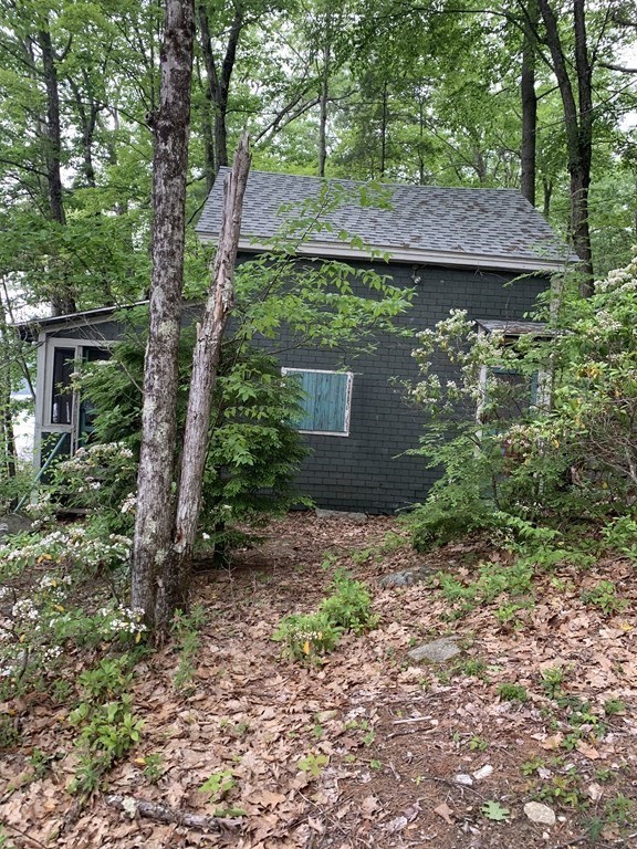46 Dusty Road Erving, MA 01344 - Photo 2 of 14 a view of a backyard with plants and large trees