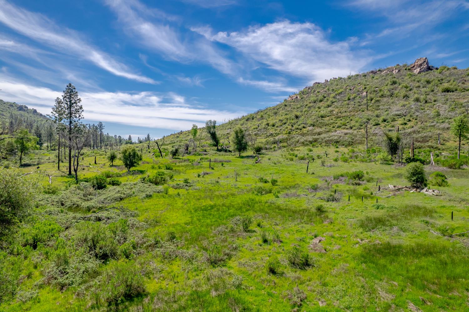 11923 Loma Rica Road Marysville, CA 95901 - Photo 12 of 35