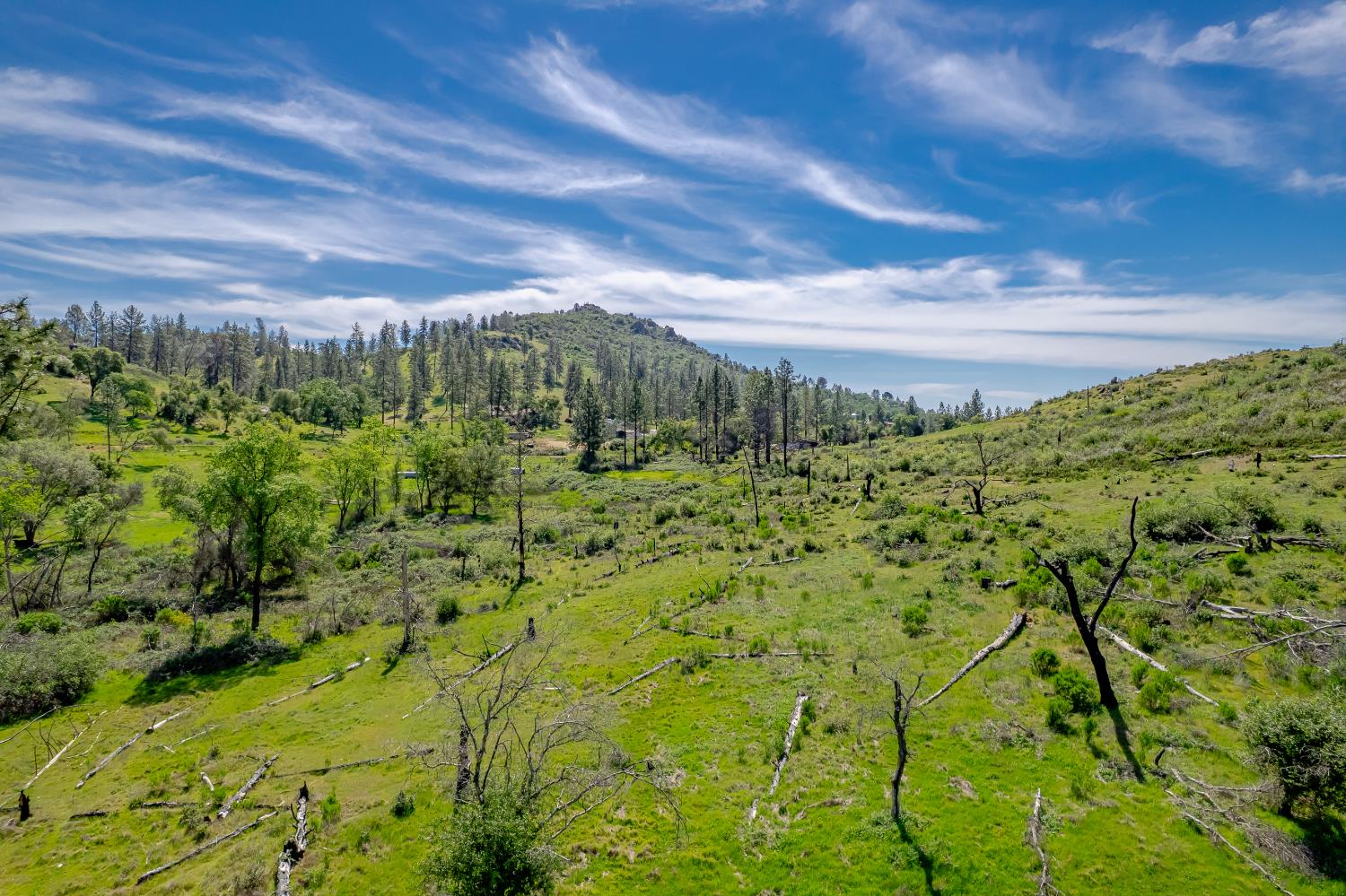 11923 Loma Rica Road Marysville, CA 95901 - Photo 14 of 35