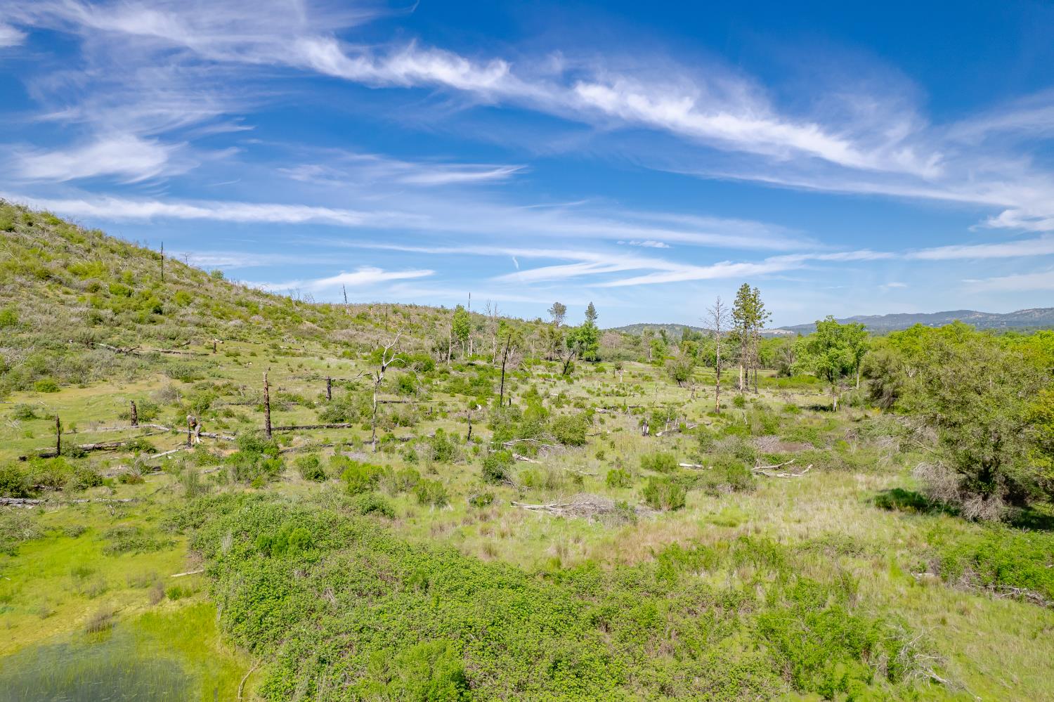 11923 Loma Rica Road Marysville, CA 95901 - Photo 18 of 35