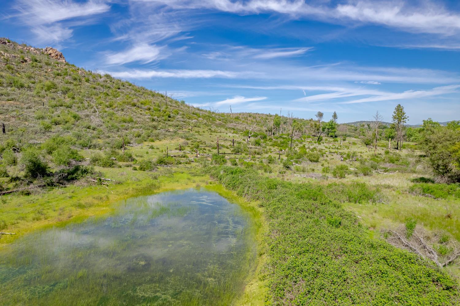 11923 Loma Rica Road Marysville, CA 95901 - Photo 19 of 35