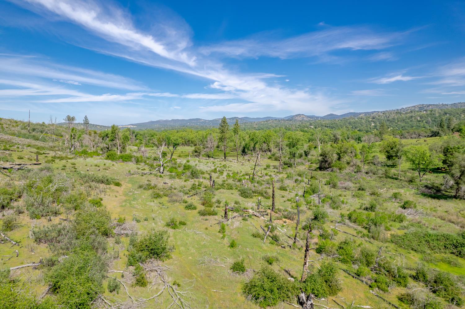 11923 Loma Rica Road Marysville, CA 95901 - Photo 22 of 35