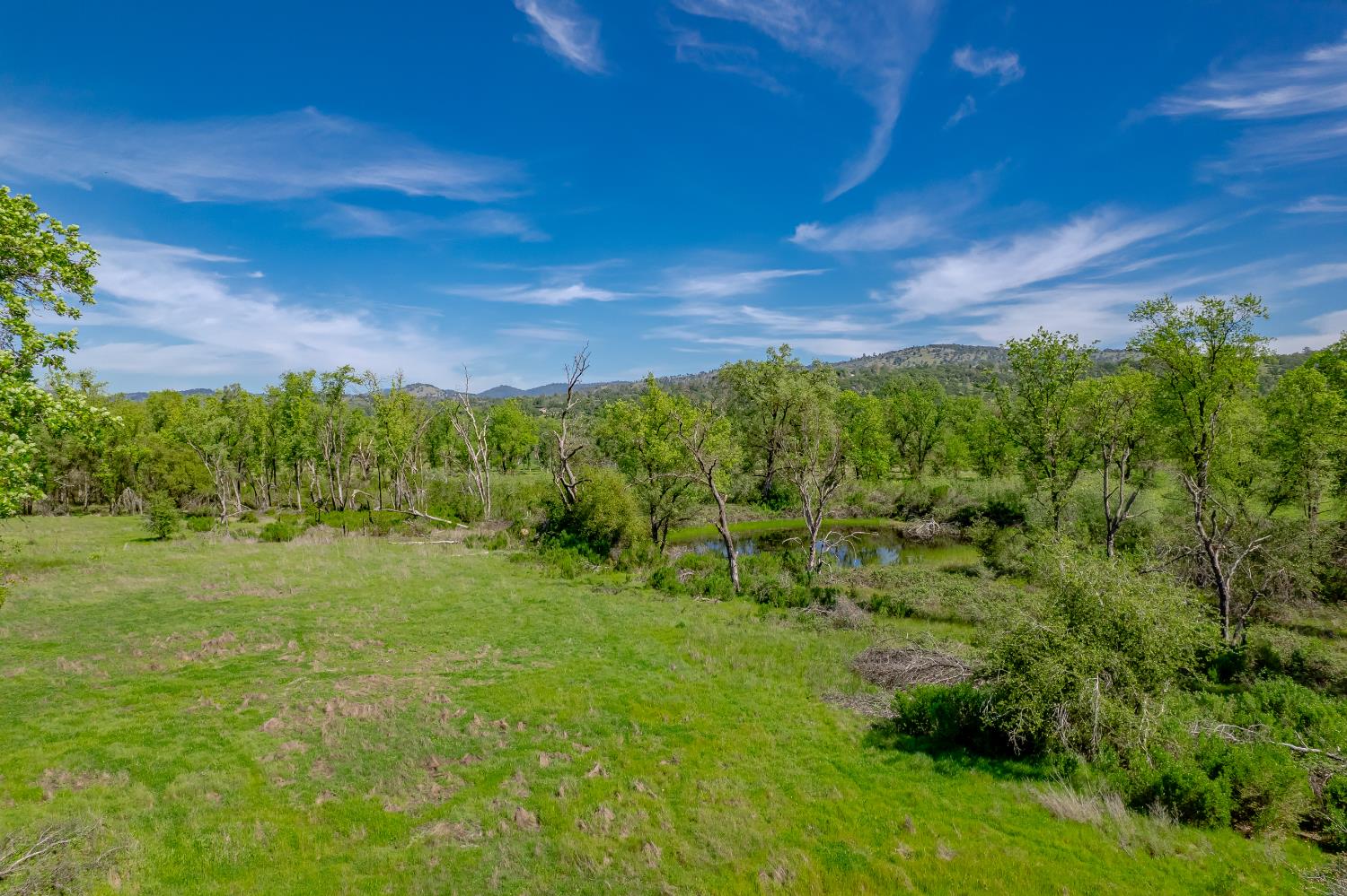 11923 Loma Rica Road Marysville, CA 95901 - Photo 6 of 35