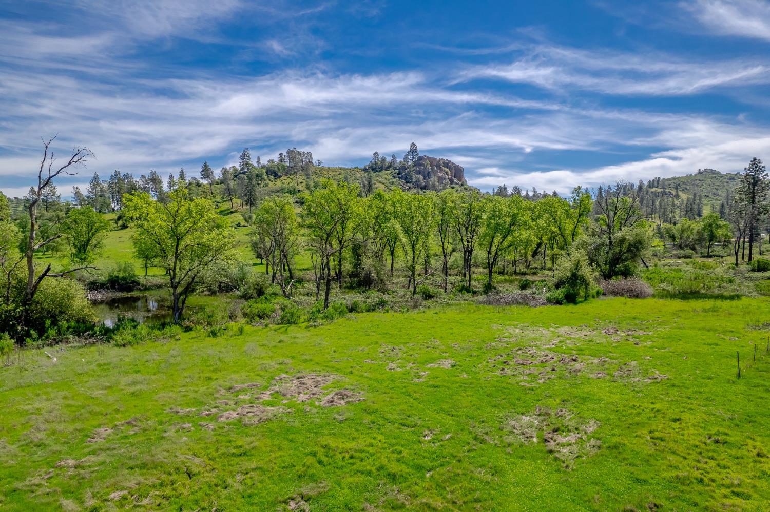 11923 Loma Rica Road Marysville, CA 95901 - Photo 8 of 35