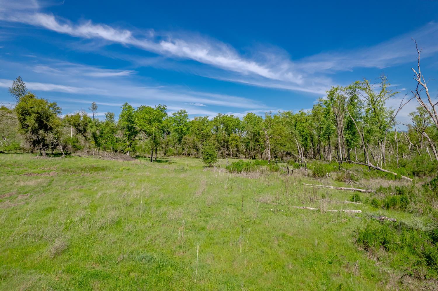 11923 Loma Rica Road Marysville, CA 95901 - Photo 9 of 35
