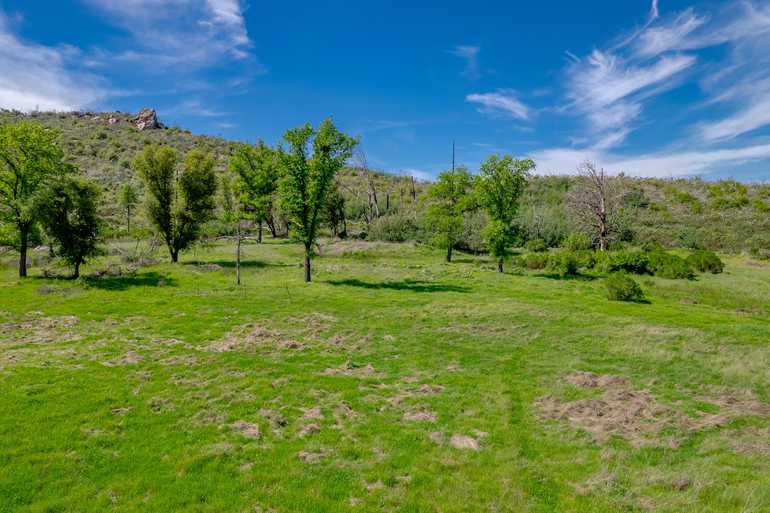 11923 Loma Rica Road Marysville, CA 95901 - Photo 10 of 35