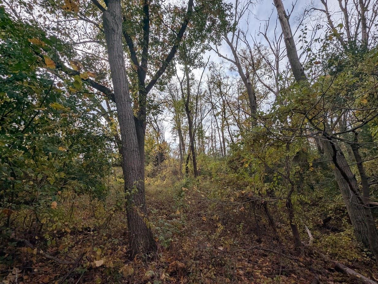 County Road, Unit 1 Green Lake, WI 54941 - Photo 3 of 6