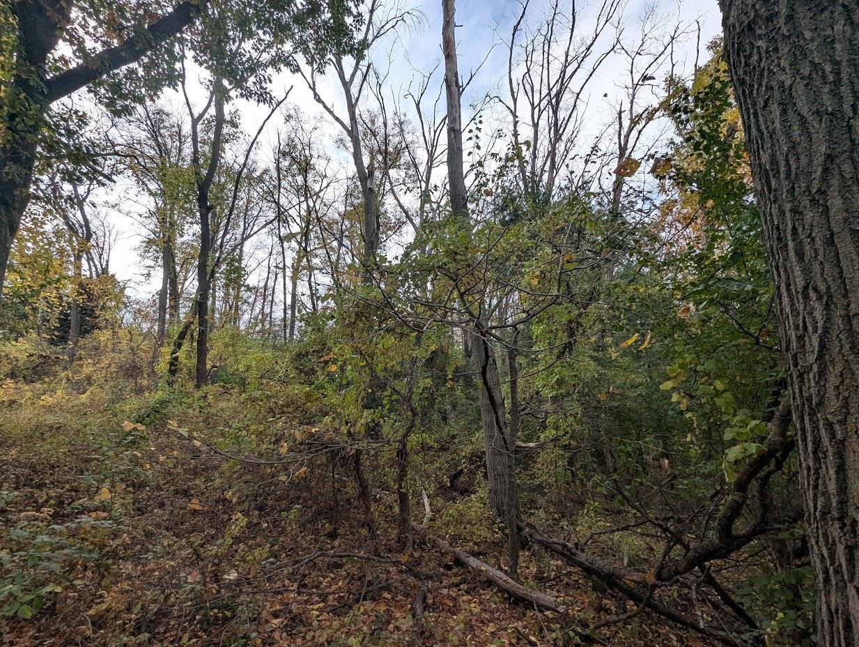 County Road, Unit 1 Green Lake, WI 54941 - Photo 4 of 6