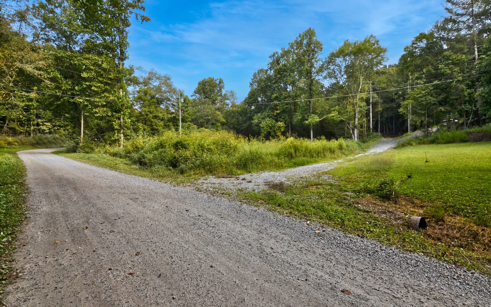 857 Mt Zion Road Ellijay, GA 30536 - Photo 14 of 23 Additional View
