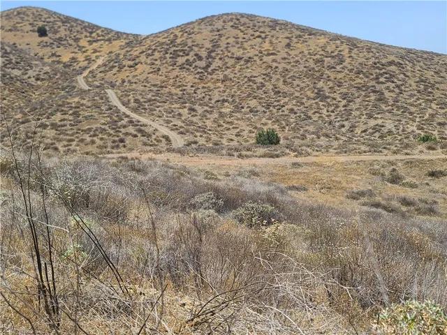 a view of a dry yard