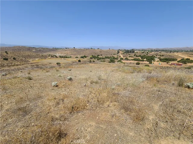 a view of a dry yard