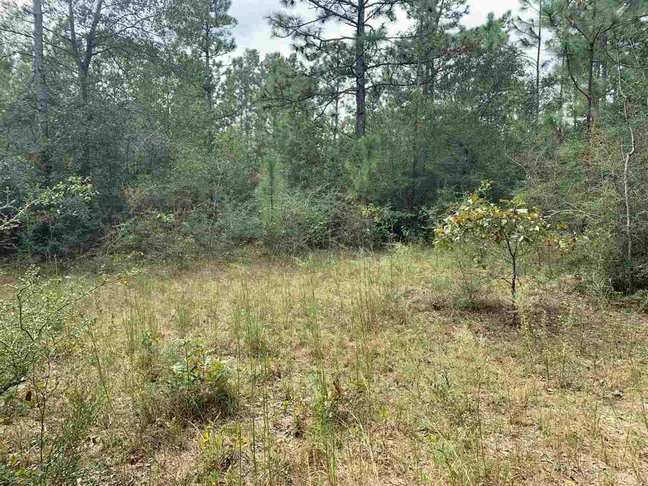 0 Lee Hill Road Milton, FL 32570 - Photo 3 of 5 Gallery Image 3