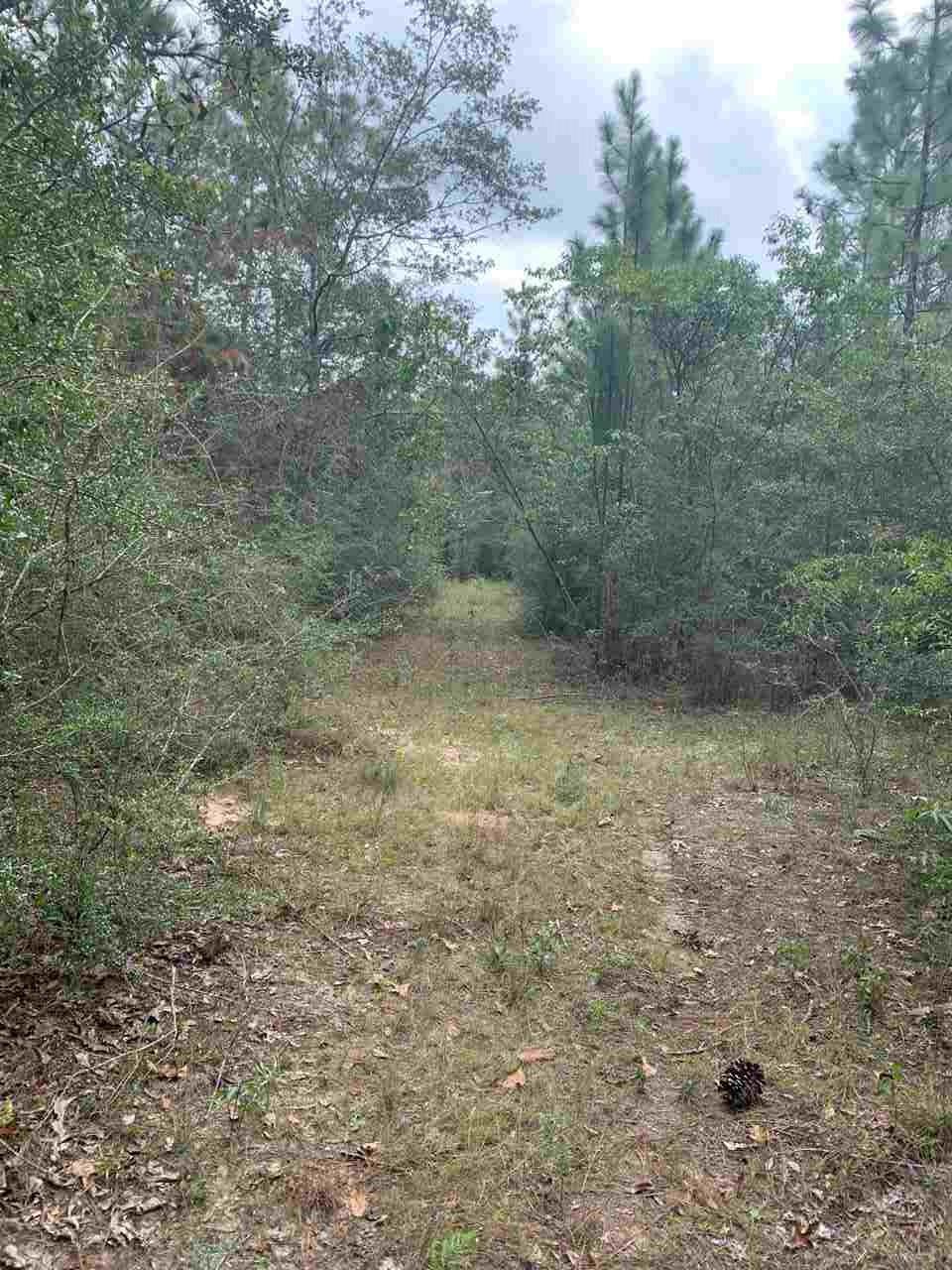 0 Lee Hill Road Milton, FL 32570 - Photo 5 of 5 Gallery Image 5