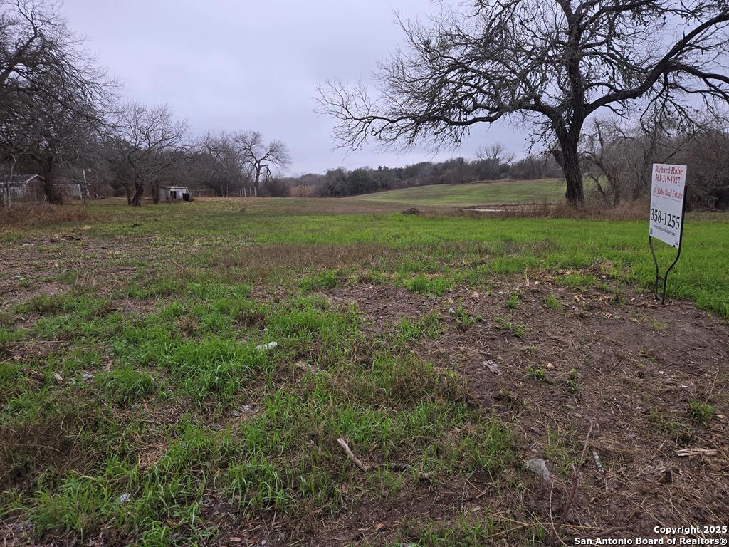 a view of outdoor space with green field and trees