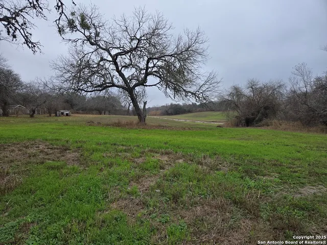 a view of yard with large trees