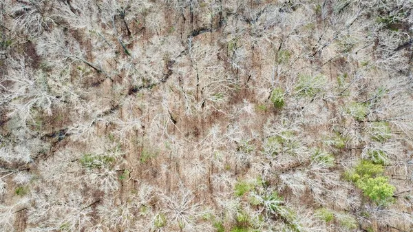 $315,000 | Tbd Mt Moriah Drive, Omaha, TX 75571