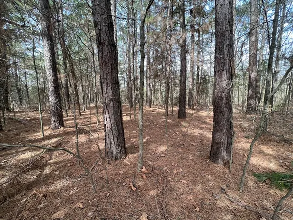 $315,000 | Tbd Mt Moriah Drive, Omaha, TX 75571