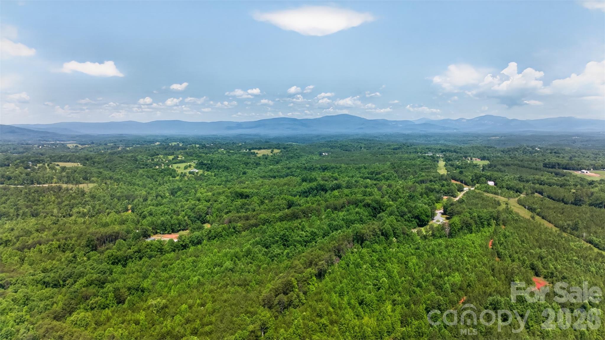 66 Misery Ridge Mill Spring, NC 28756 - Photo 37 of 43