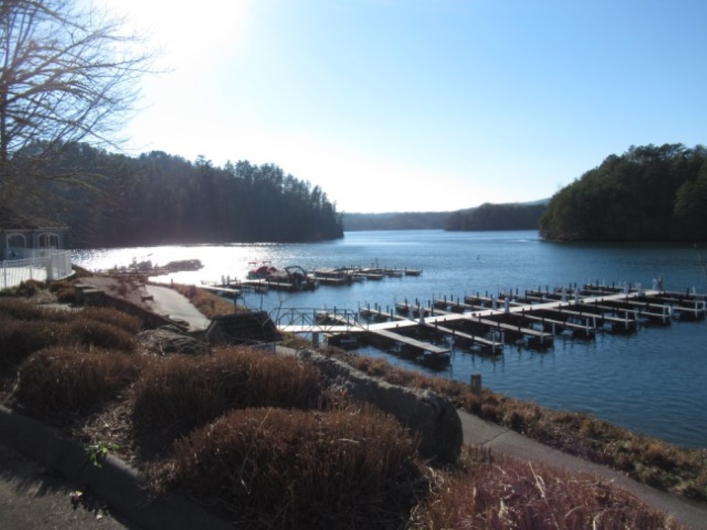 Lot 10 Sweet Shrub Court Sunset, SC 29685 - Photo 19 of 25