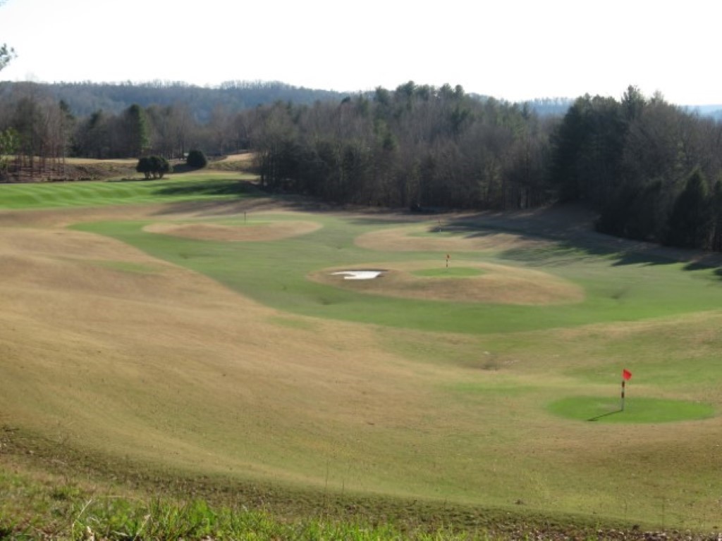 Lot 10 Sweet Shrub Court Sunset, SC 29685 - Photo 22 of 25