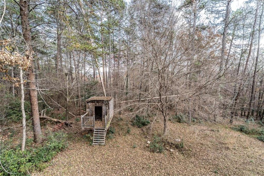 27 Saddle Mountain Road Southeast Rome, GA 30161 - Photo 35 of 36 a garden with trees