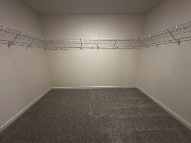 a bathroom with a glass shower door and a window