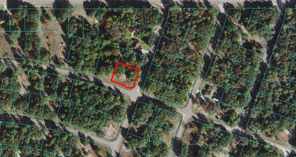 Tbd Fisher Way Run Road Ocklawaha, FL 32179 - Photo 1 of 1 Gallery Image 1