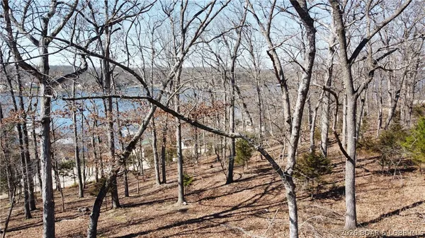 $22,000 | Greybill Road, Gravois Mills, MO 65037