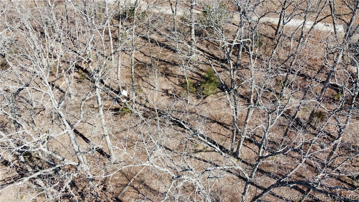 Greybill Road Gravois Mills, MO 65037 - Photo 4 of 6