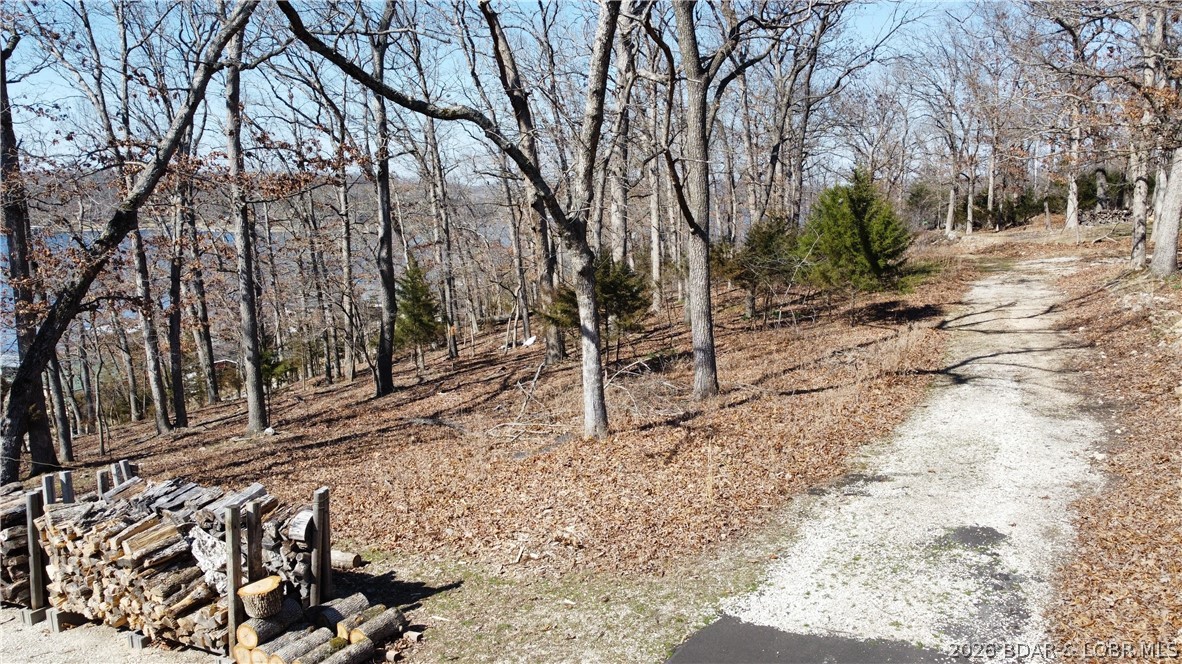 Greybill Road Gravois Mills, MO 65037 - Photo 5 of 6 easement road at top of lot