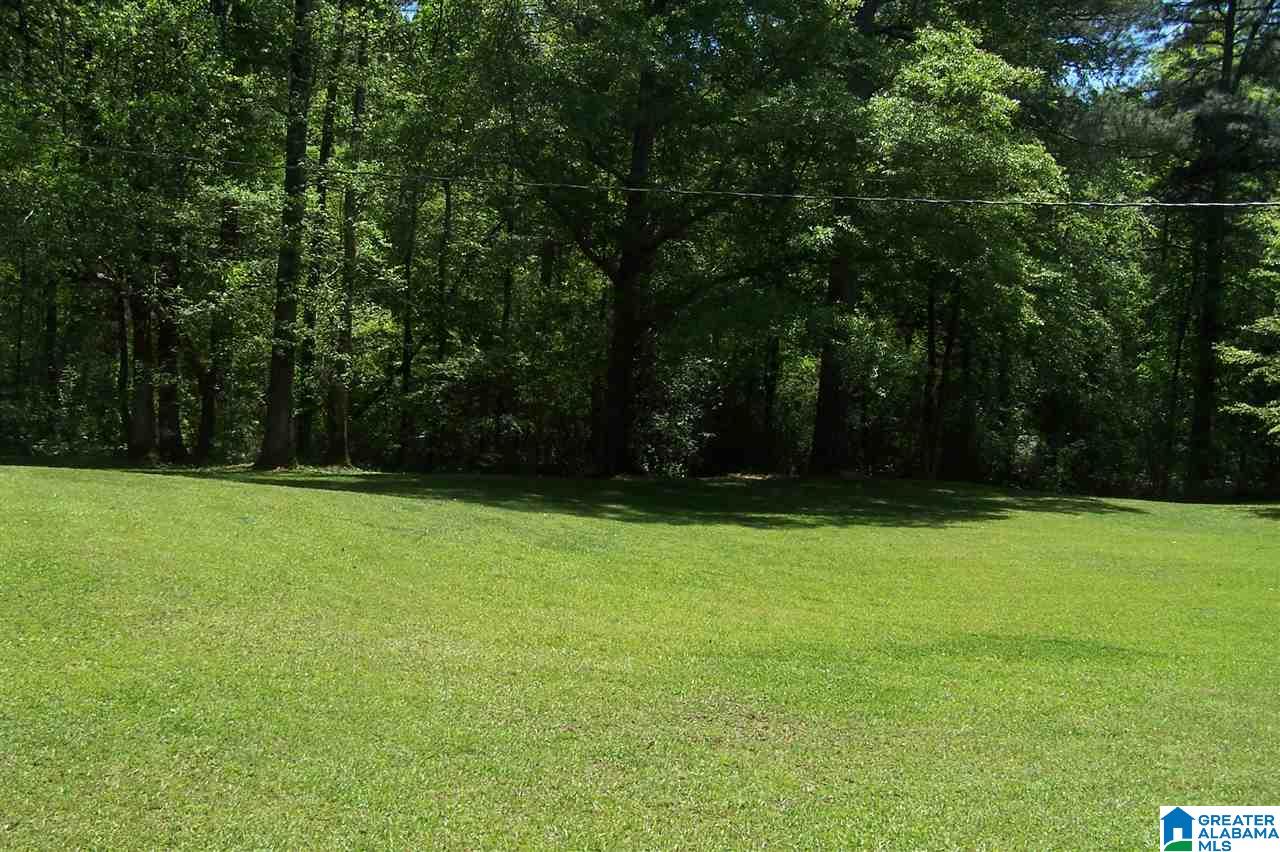 4212 Covered Bridge Road Cleveland, AL 35049 - Photo 10 of 30