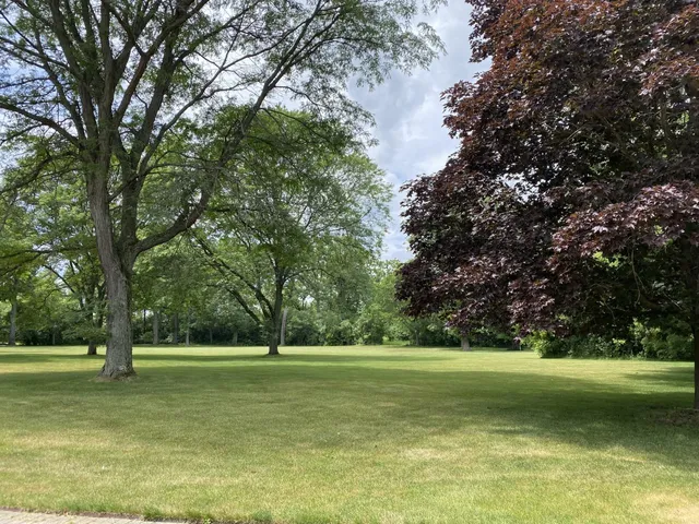 a view of a field with trees