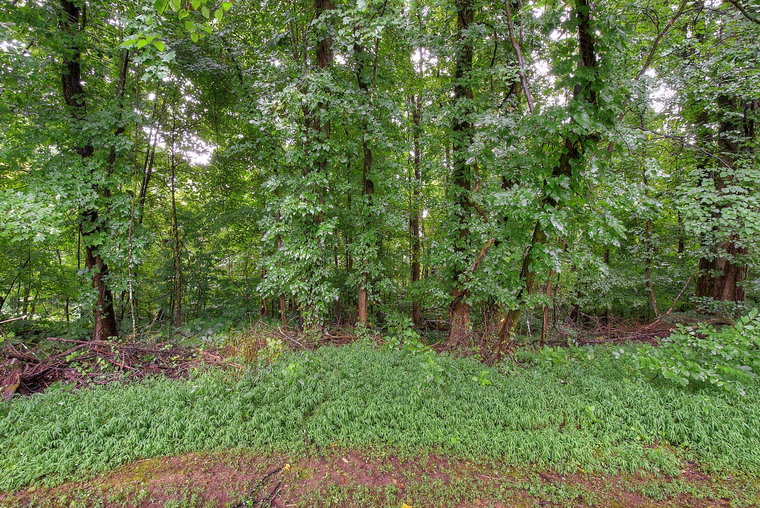 4829 Edens View Road Kingsport, TN 37664 - Photo 40 of 42 4829 Edens View Road