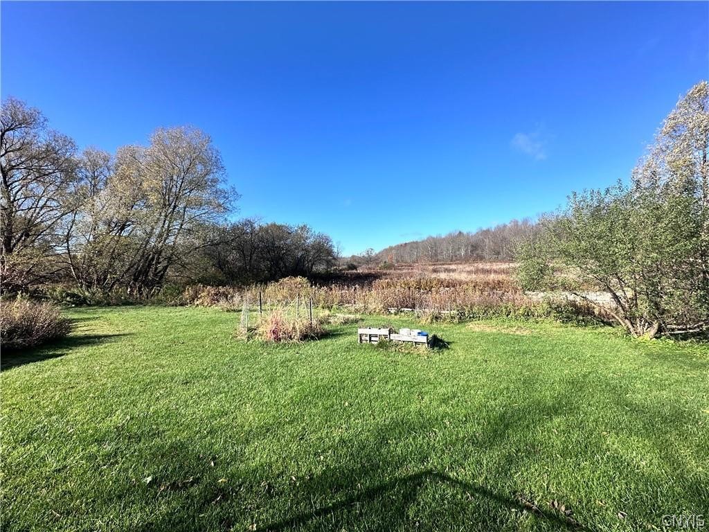 411 Highway 167 Warren, NY 13439 - Photo 13 of 49