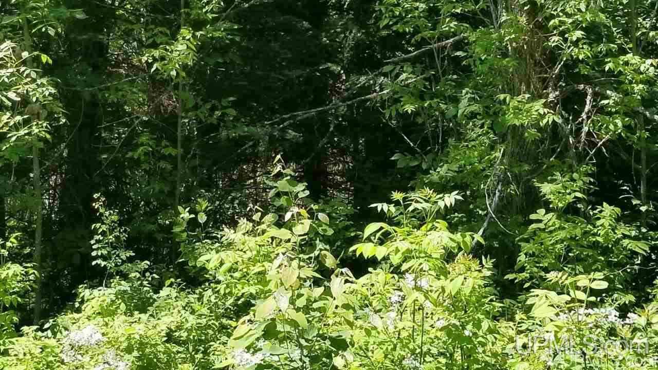 Tbd Parks Farm Road, Unit LOT #2 4 29 ACRES Iron River, MI 49935 - Photo 10 of 12