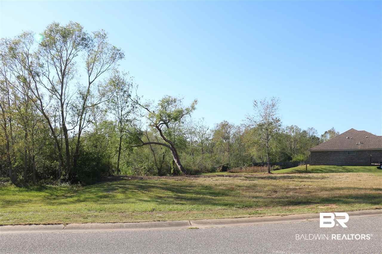 Lot 41 Thames Drive Foley, AL 36535 - Photo 6 of 14