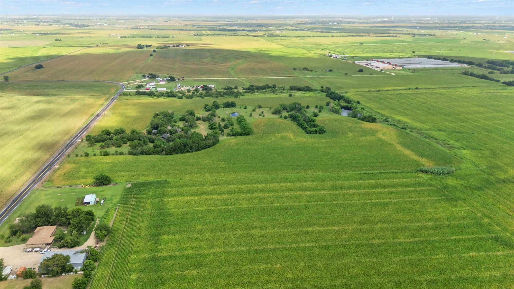 14201 Lund - Carlson Road Coupland, TX 78615 - Photo 23 of 40 Vast, open fields of verdant crops define this expansive rural property.