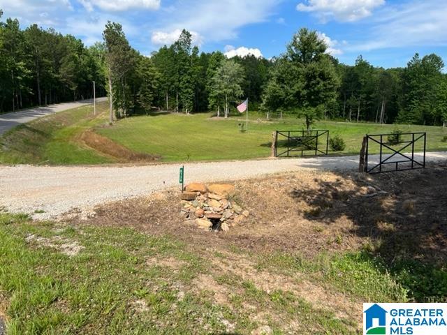 8134 Clairmont Springs Road Lineville, AL 36266 - Photo 21 of 36