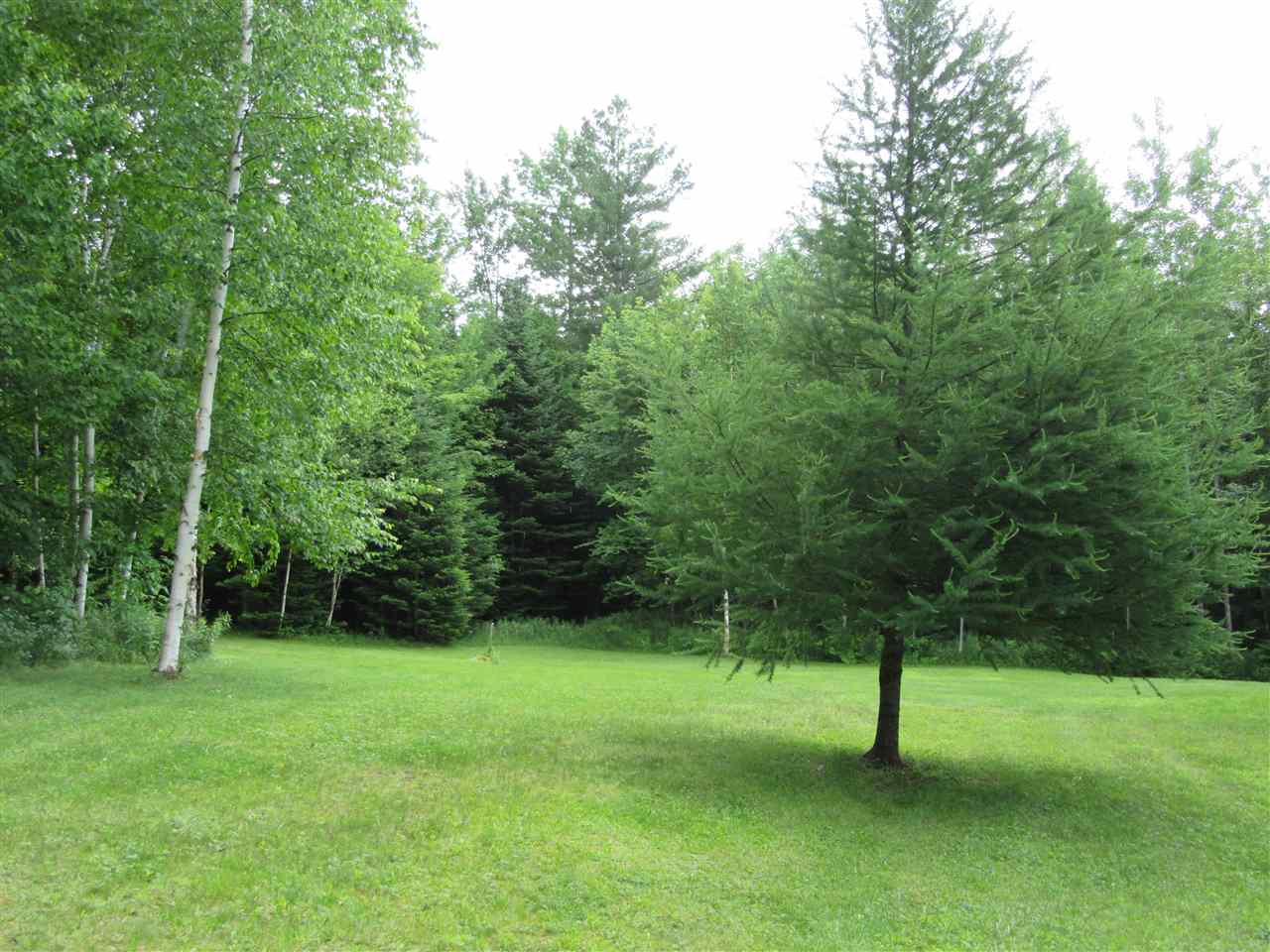 696 Burke Green Road Burke, VT 05832 - Photo 3 of 8 Gallery Image 3