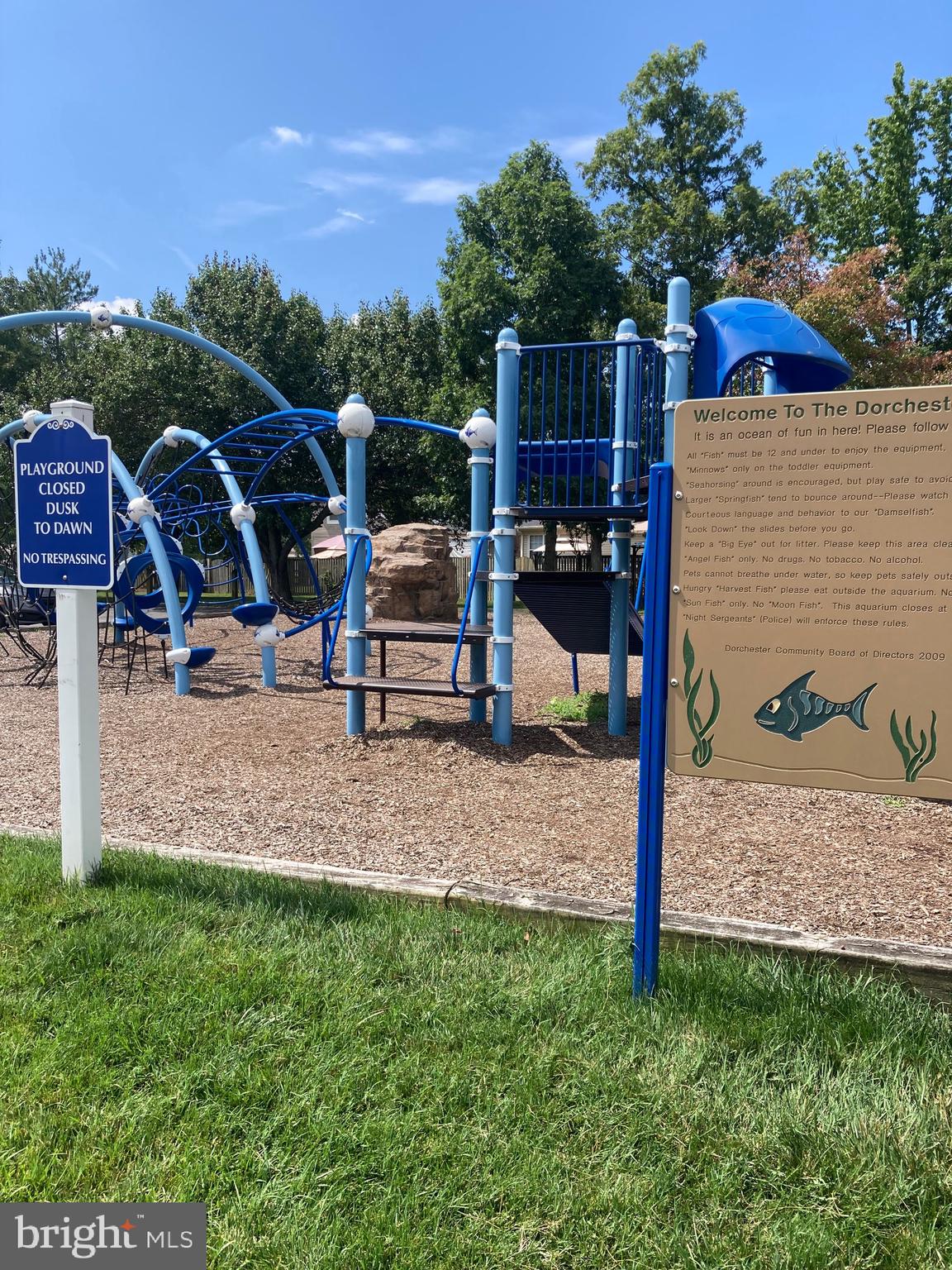 5775 Springfish Place Waldorf, MD 20603 - Photo 45 of 51 Dorchester Tot Lot near pool