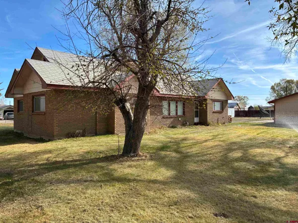 a house with a tree in front of it