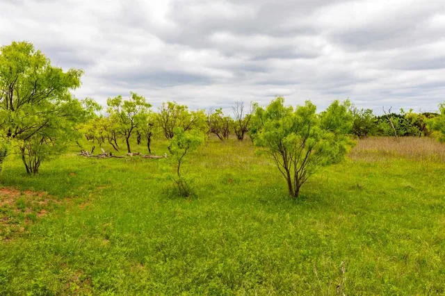 a view of a yard with an tree