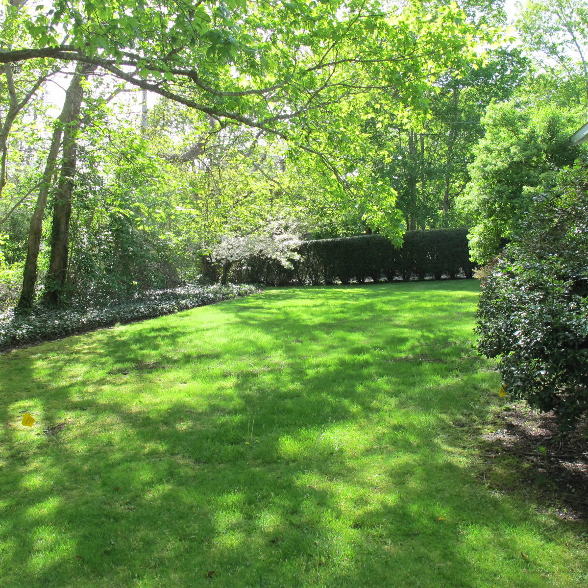 22 Nobska Road Falmouth, MA 02543 - Photo 6 of 30 IMG_5514