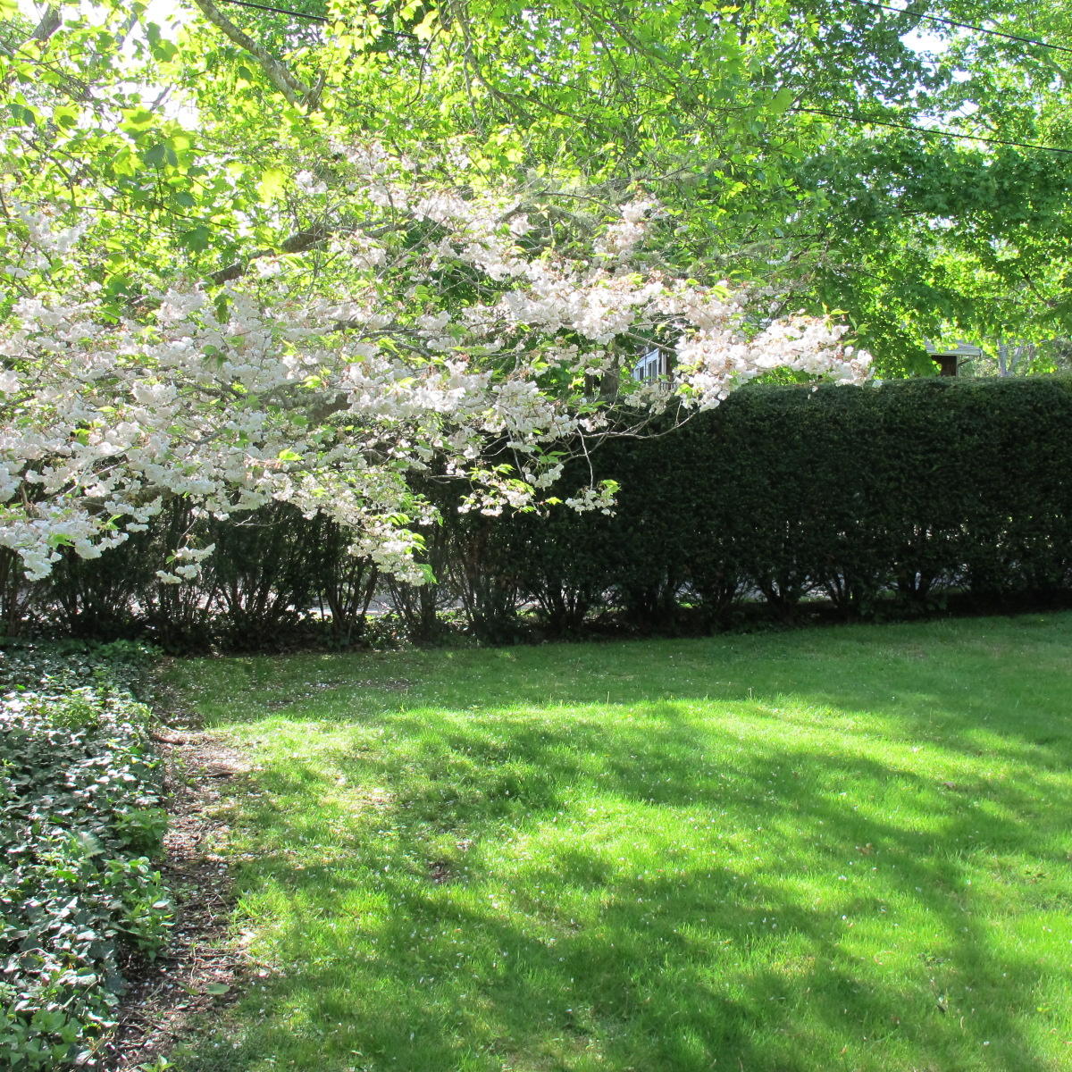 22 Nobska Road Falmouth, MA 02543 - Photo 7 of 30 IMG_5516