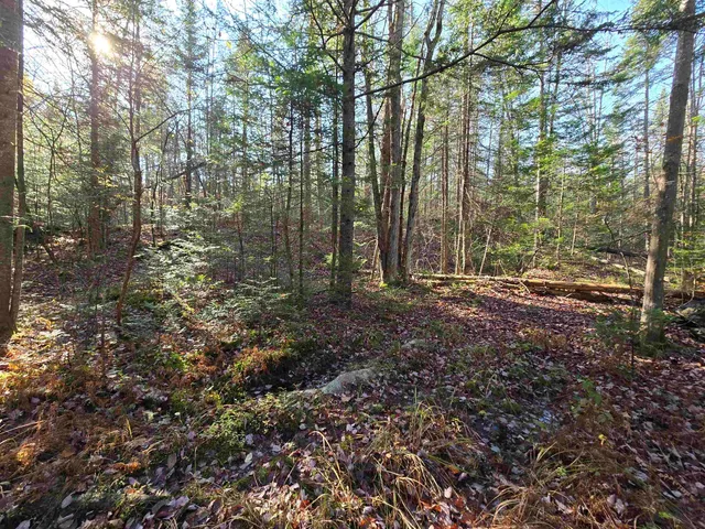 $119,900 | Lot 3 Chipper Lane, Milan, NH 03588
