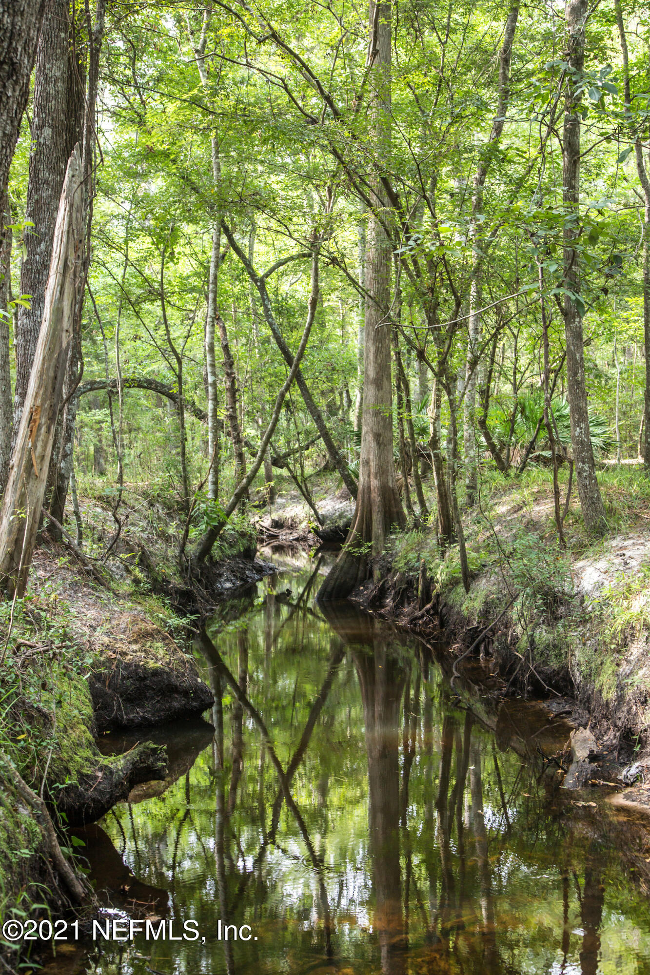 1035 Windley Drive St. Augustine, FL 32092 - Photo 59 of 69 CMF-9326