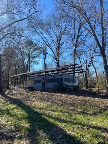 a view of a backyard with large trees
