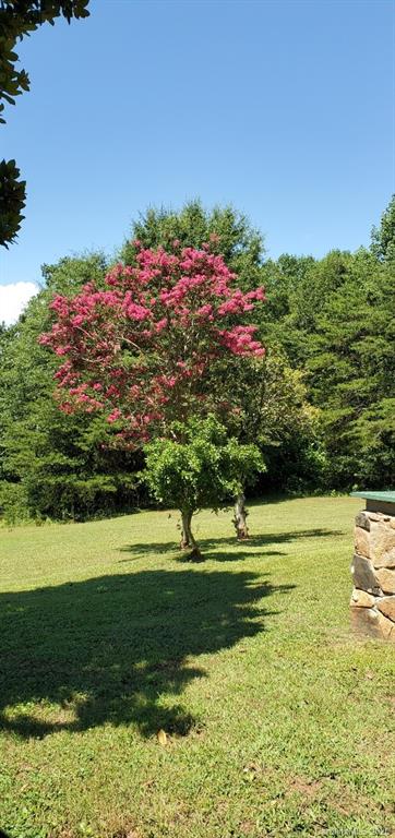 821 Thompson Road Rutherfordton, NC 28139 - Photo 36 of 47