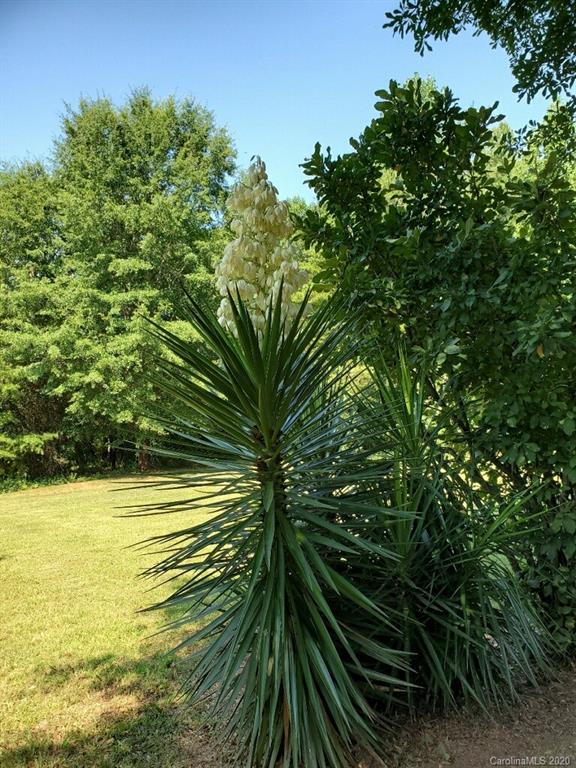 821 Thompson Road Rutherfordton, NC 28139 - Photo 44 of 47