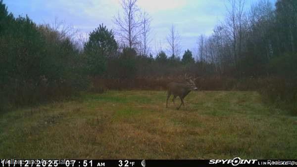 0 Hadley Road Decker, MI 48426 - Photo 17 of 18